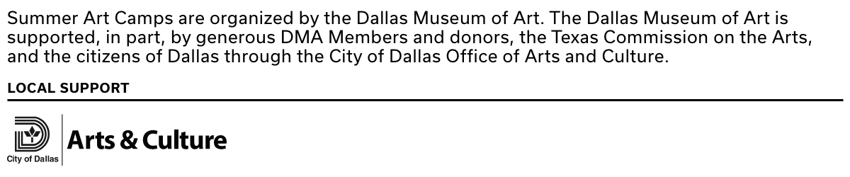DMA Summer Art Camps